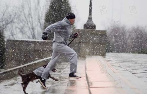 Rocky Balboa : Foto Sylvester Stallone