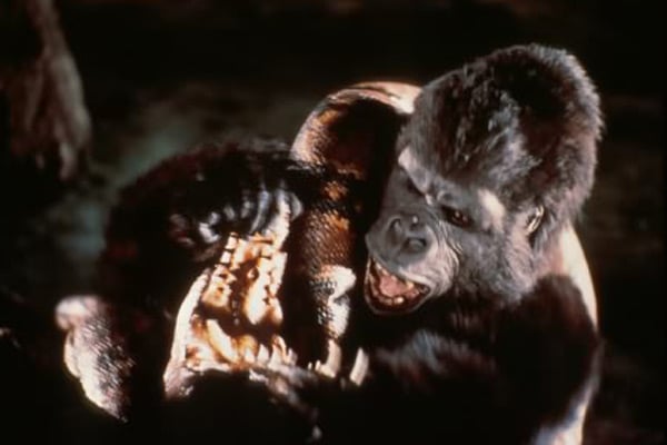 King Kong : Foto John Guillermin