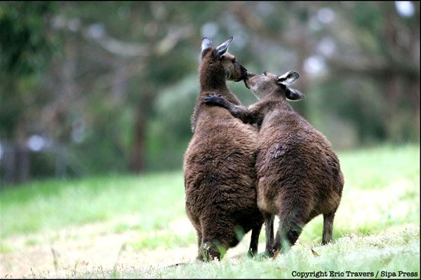 Foto Laurent Charbonnier