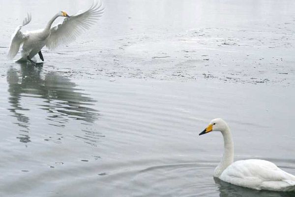Foto Laurent Charbonnier