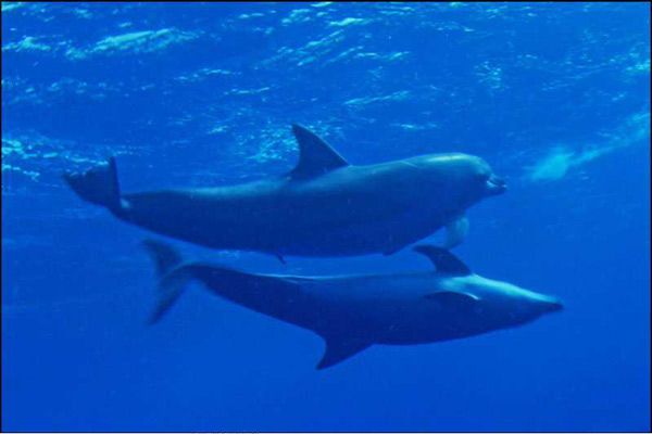 Foto Laurent Charbonnier