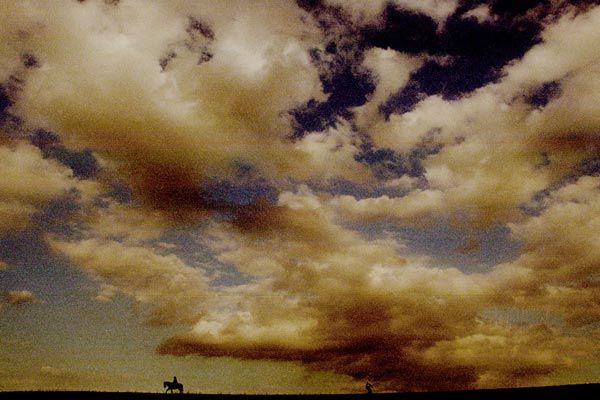 Honor de cavallería : Foto