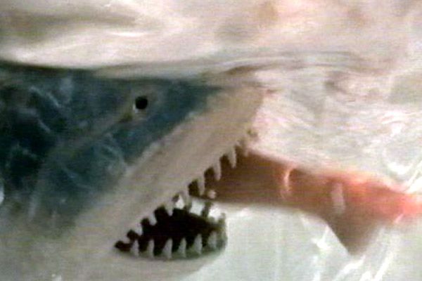 Foto James L. Frachon