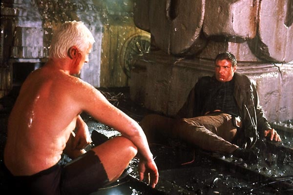 Blade Runner : Foto Harrison Ford, Rutger Hauer