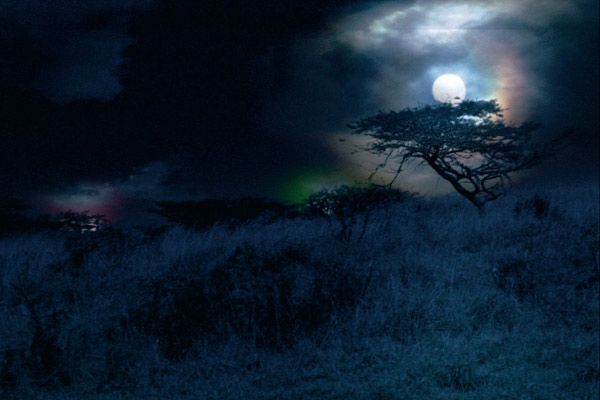 Foto Mario Andreacchio