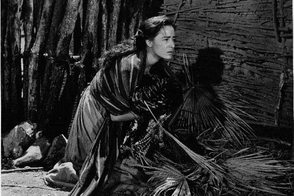 Foto Roberto Gavaldón