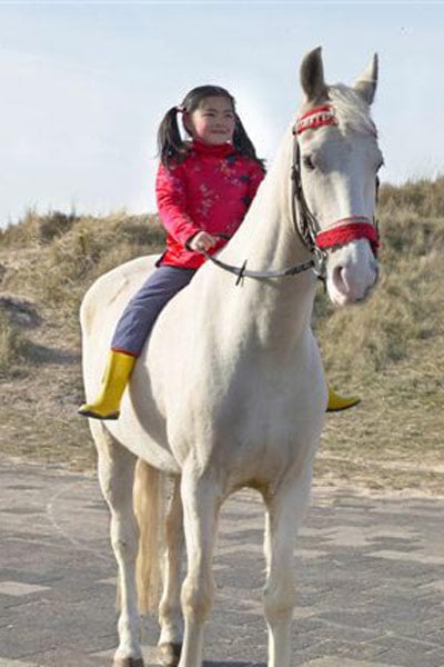 Winky y el Caballo Mágico : Foto Mischa Kamp, Ebbie Tam