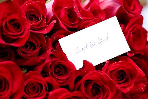 Cosas que perdimos en el fuego : Foto