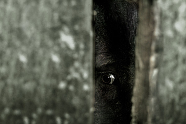 Los abandonados : Foto Nacho Cerdà