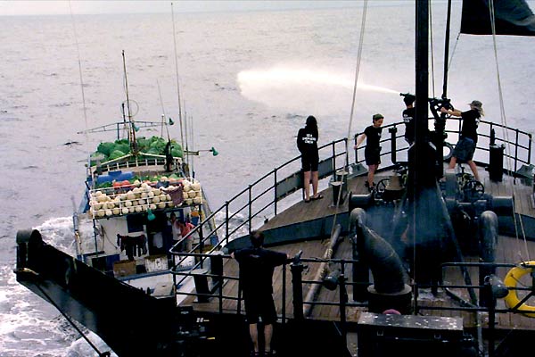 Tiburón, en las garras del hombre : Foto Rob Stewart