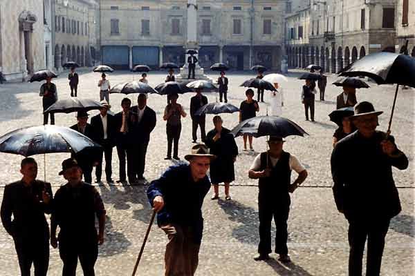 La estrategia de la araña : Foto