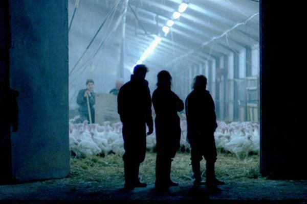 Foto Sébastien Jaudeau