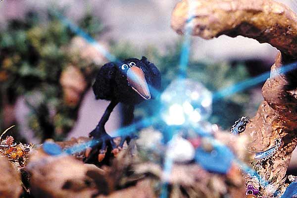 Foto Abdollah Alimorad