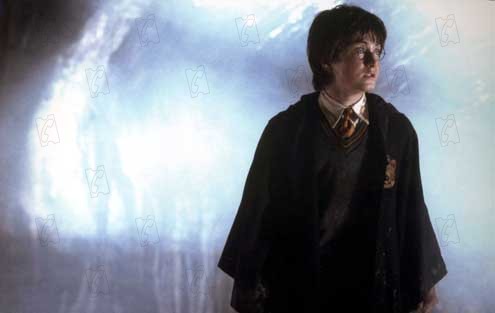 Harry Potter y la Cámara Secreta : Foto Chris Columbus, Daniel Radcliffe