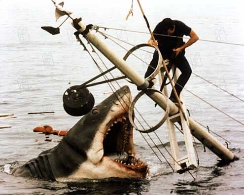 Tiburón : Foto Steven Spielberg, Roy Scheider