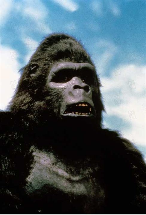 King Kong 2 : Foto John Guillermin