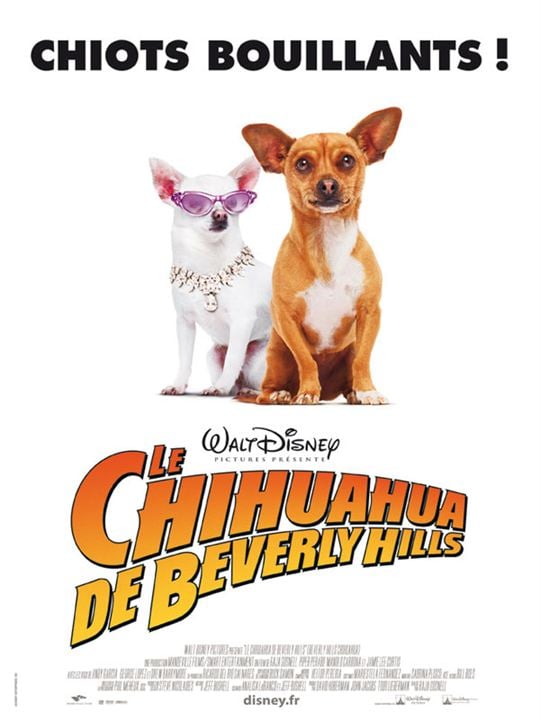 Un chihuahua en Beverly Hills : Cartel Raja Gosnell