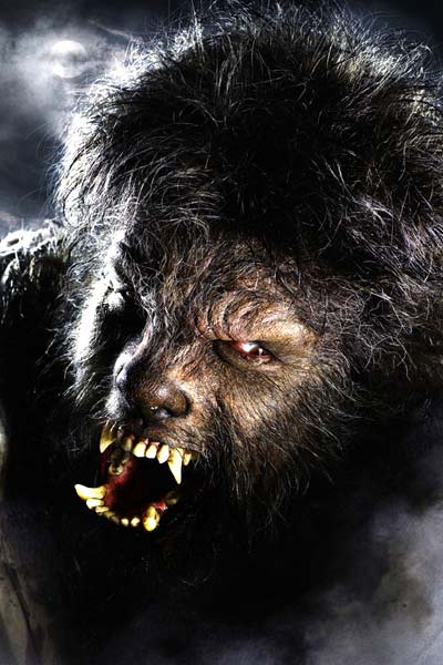 El hombre lobo : Foto Joe Johnston, Benicio Del Toro