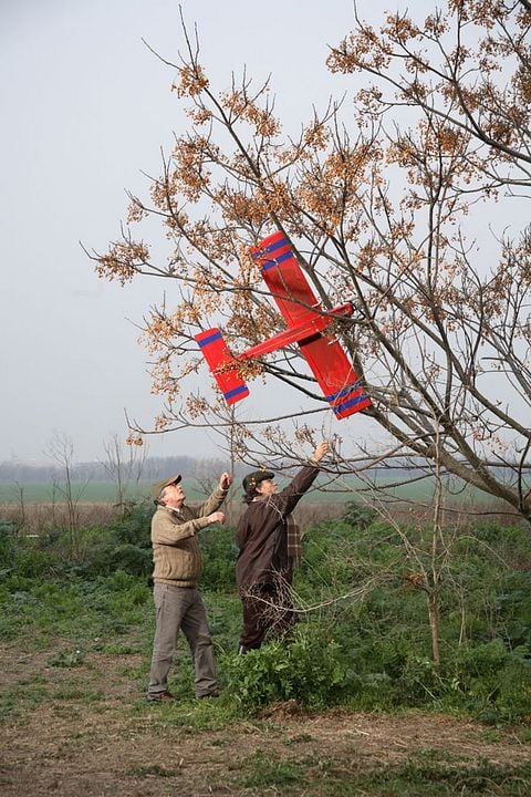 El Nido Vacío : Foto