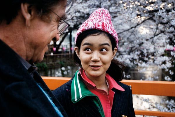 Cerezos en flor : Foto
