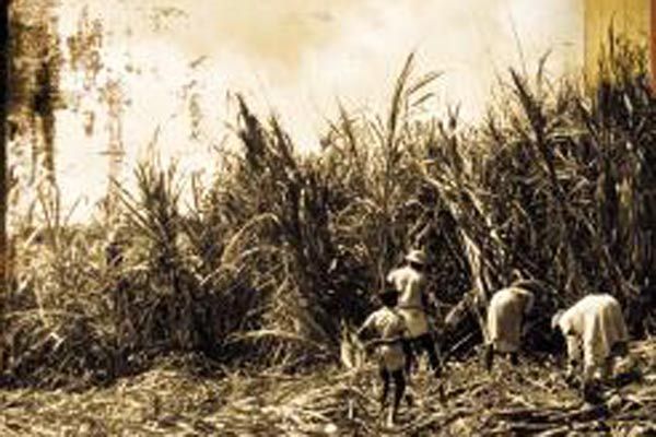 Foto Camille Mauduech