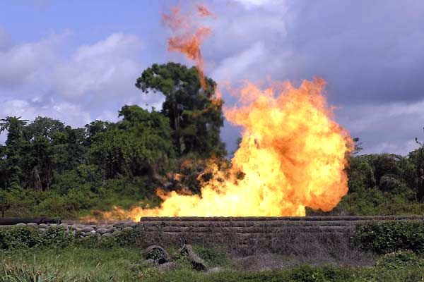 La era de la estupidez : Foto Franny Armstrong