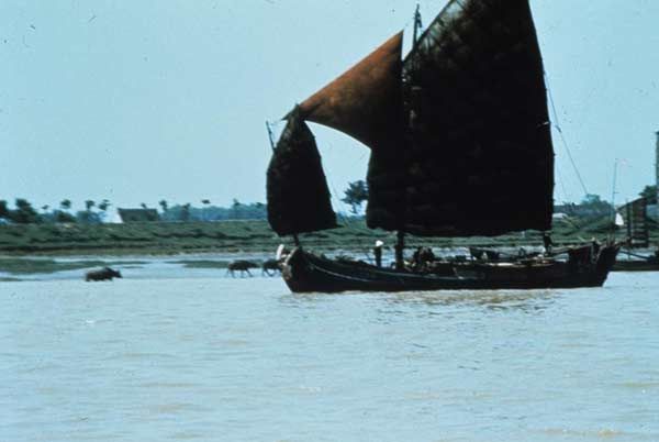 Foto Michelangelo Antonioni