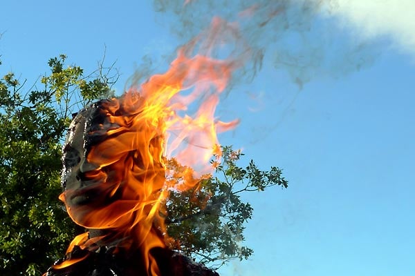 La Terre de la folie : Foto Luc Moullet