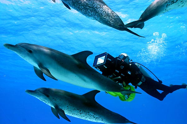 OceanWorld 3D : Foto Jean-Jacques Mantello, François Mantello