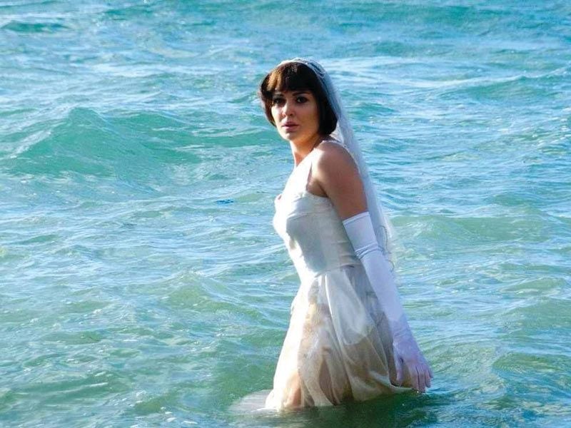 The traveller : Foto