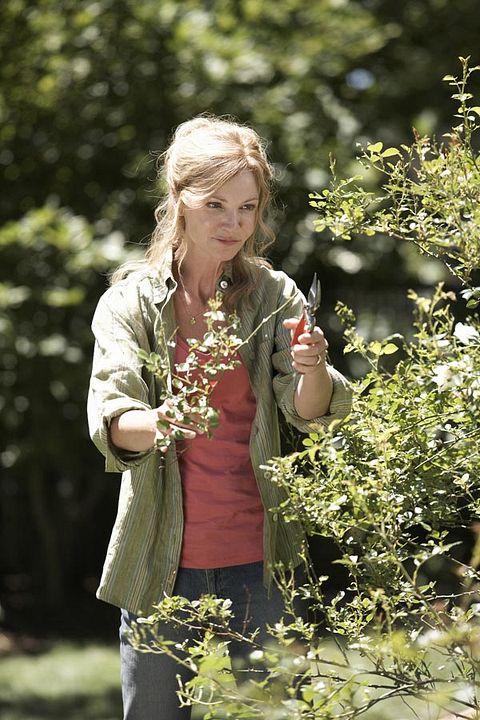 Siempre a tu lado. Hachiko : Foto