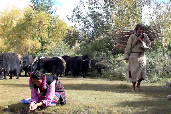 Foto Neten Chokling, Jamyang Lodro