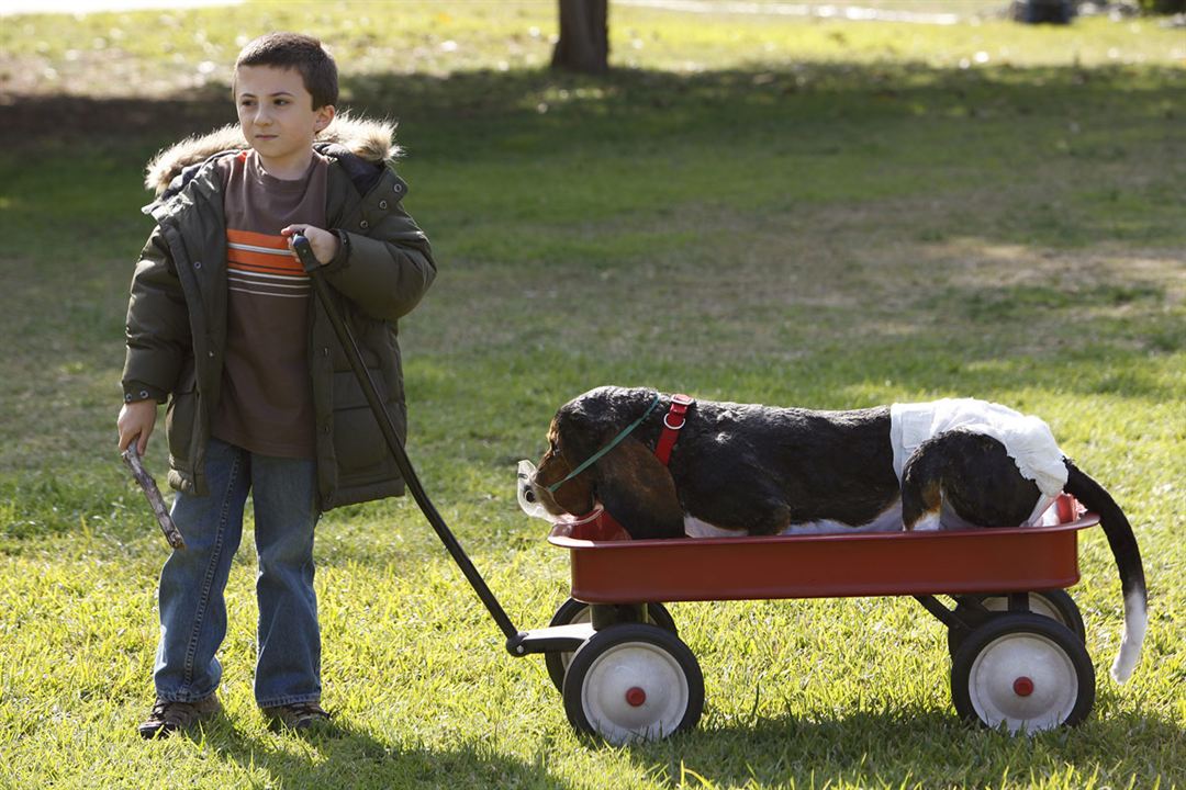 Foto Atticus Shaffer