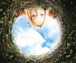 Alice : Cartel