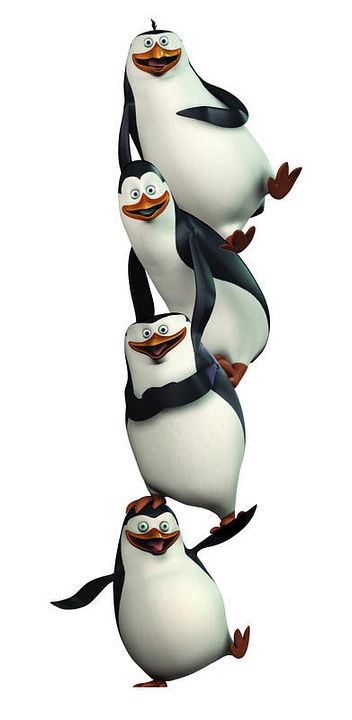 Los pingüinos de Madagascar : Foto