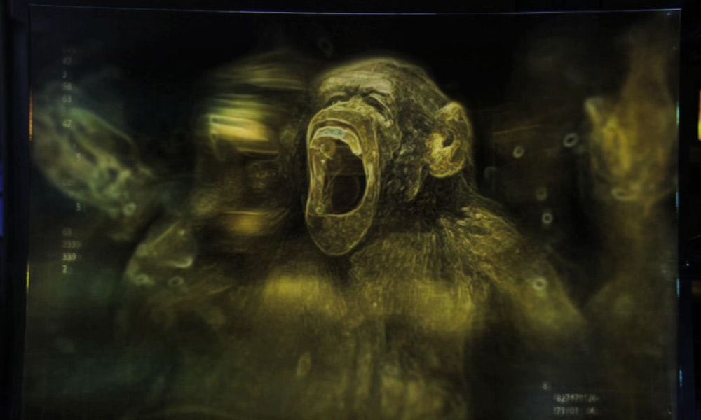 Foto Jean-Teddy Filippe