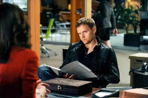 The Good Wife : Foto Marc Warren