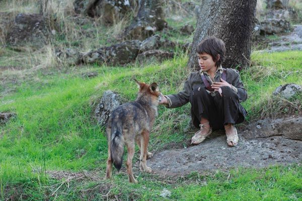 Entre lobos : Foto