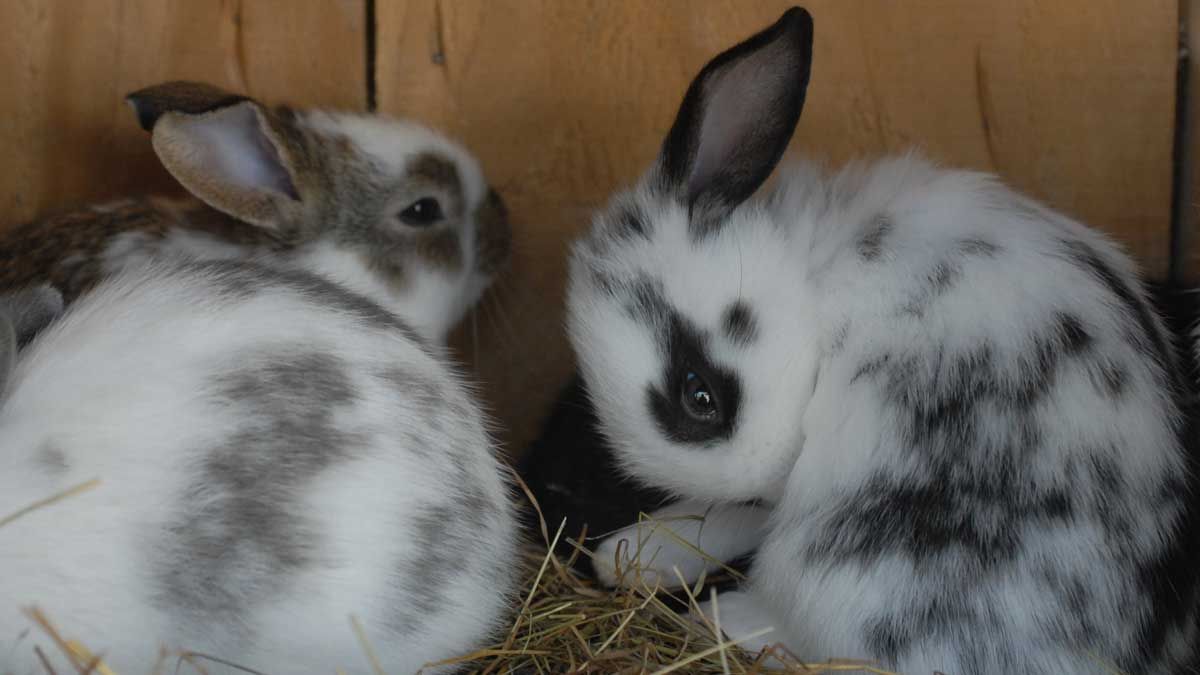 Foto Dominique Garing, Frédéric Goupil