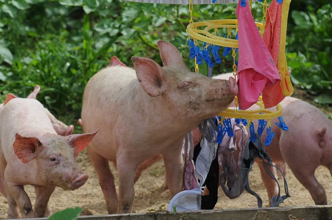 Foto Dominique Garing, Frédéric Goupil