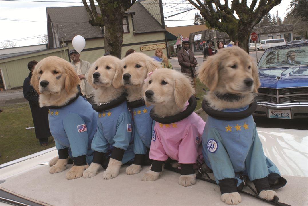 Space Buddies: Cachorros en el espacio : Foto
