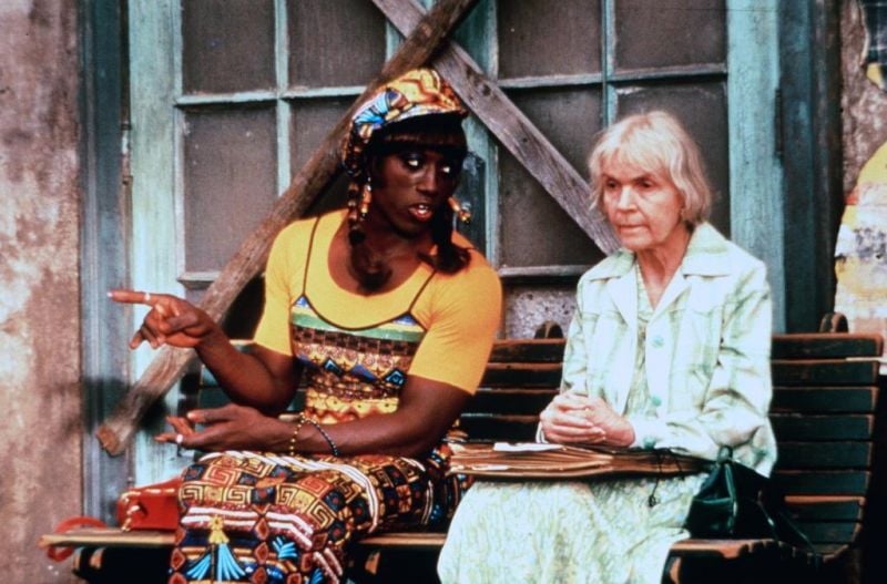 A Wong Foo, ¡Gracias por todo, Julie Newmar! : Foto