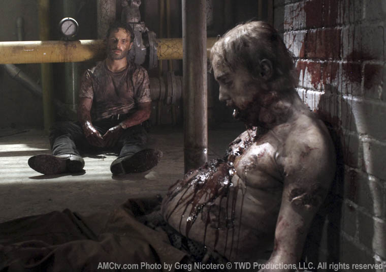 The Walking Dead : Cartel Andrew Lincoln