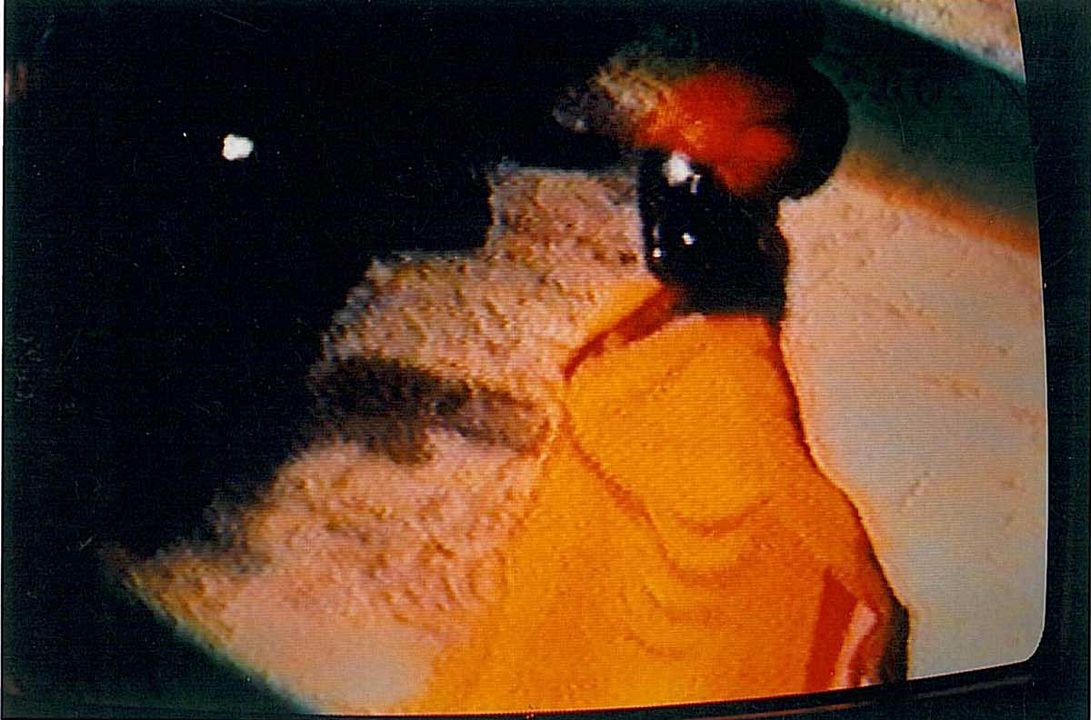 Foto Vincent Navarro