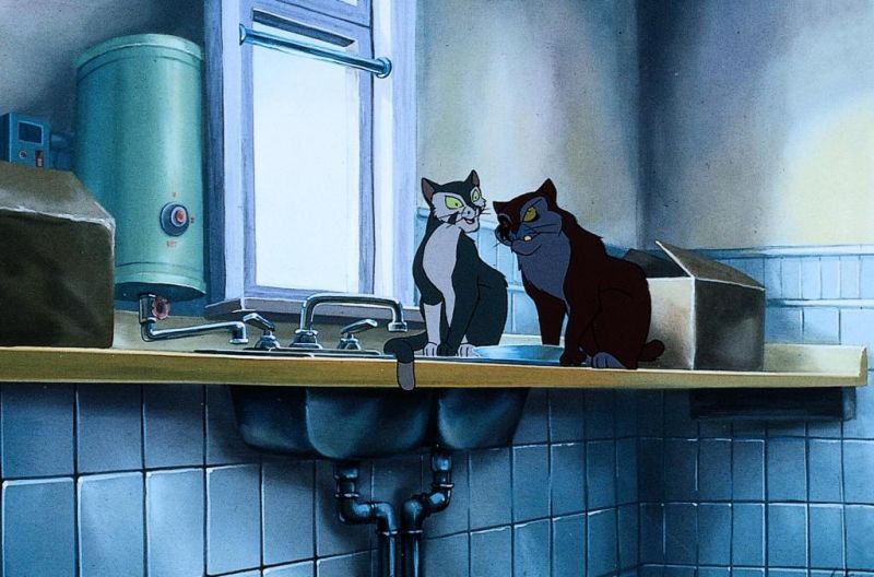 Francis el detectigato : Foto