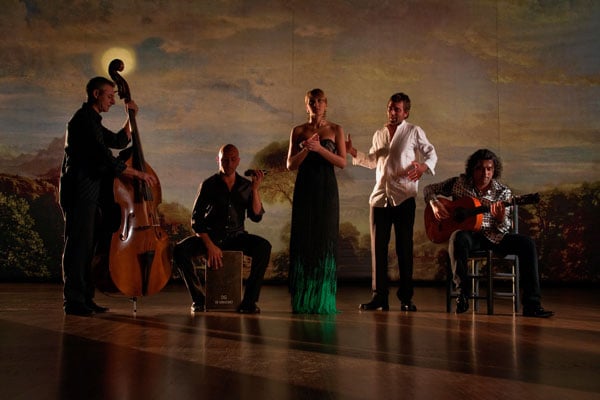 Flamenco, Flamenco : Foto