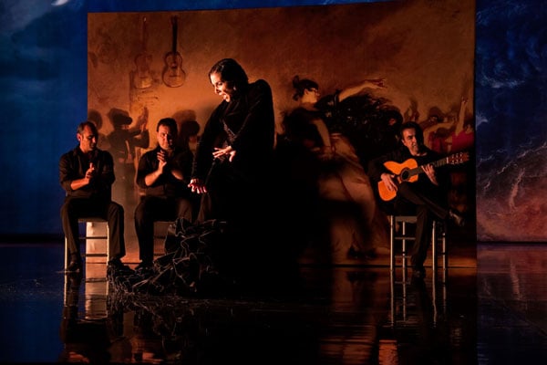 Flamenco, Flamenco : Foto