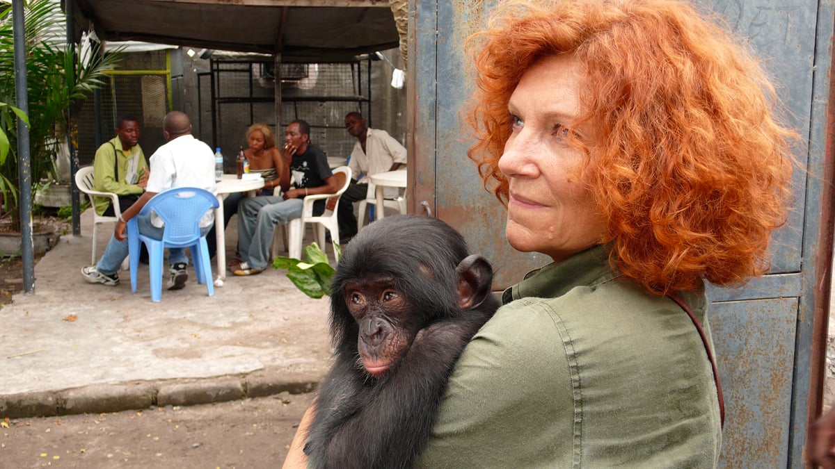 Bonobos : Foto Claudine André