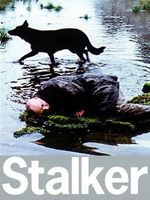 Stalker : Cartel
