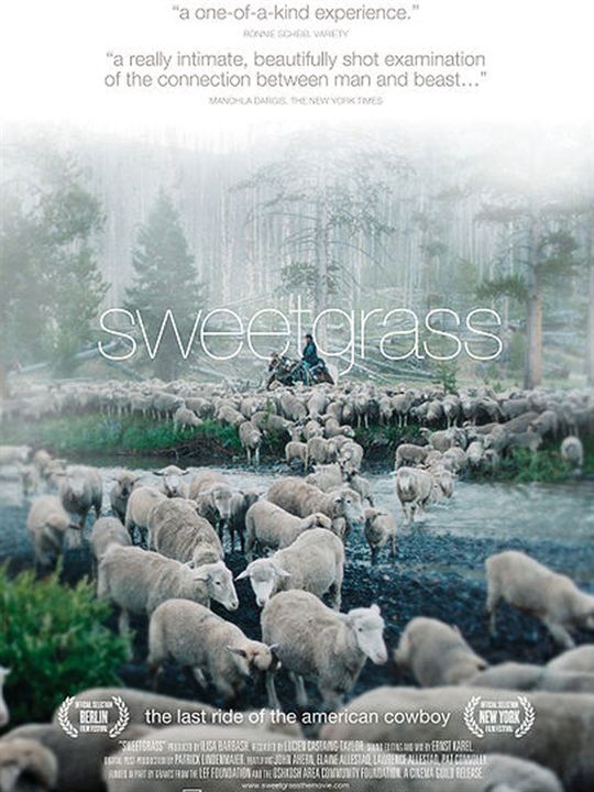 Sweetgrass : Cartel
